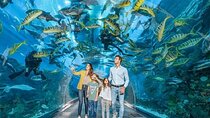 Dubai Fishing Adventure Downtown