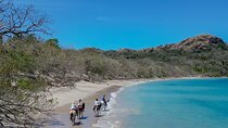 Horseback Riding - 2h Guided Tour