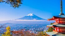 Mount Fuji Full Day Customize Private Tour with English Guide 