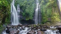Private Sekumpul Waterfall and Northern Bali Full Day Tour