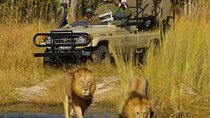 Pilanesberg National Park 
