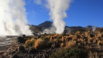San Pedro de Atacama Geysers del Tatio and Machuca with Tickets