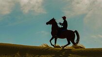 Desert Safari Horse and Camel Ride Dune Bashing Beach
