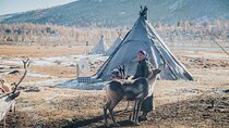In Search of the Reindeer Herders