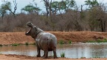 Hlane National Park Adventure 2 Days