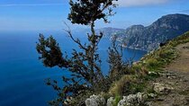 Shared Path of the Gods Tour