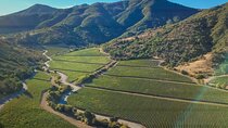 Private Colchagua Wine Experience: Premium Tour & Tasting