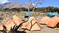 6 days Private Machame Route Tour