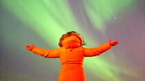 Reykjavik Aurora Borealis Northern Lights Tour