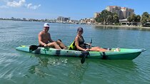  Luxury Kayak Tour To An Island Off Clearwater Beach! - (Tandem)