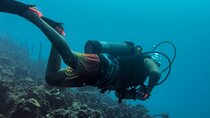 Rosario Island Overnight Snorkel Paddle B. & optional Scuba Dive