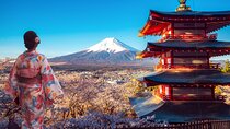 Mt Fuji /Kawaguchi Tokyo customize private charter car