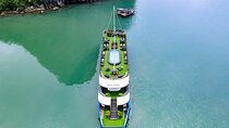 Hanoi to Halong Bay Kayak Savor Local Flavors and Sunset Delights