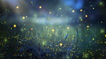 Magical Village Tour & Private Dinner with Fireflies in Bali