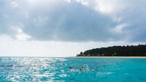Full Day Adventure and Sunset Paradise Beach Zanzibar