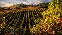 From Florence: Siena and San Gimignano with Lunch at Tenuta Torciano
