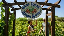 Zante Tour with Blue Caves Boat Trip and Wine Tasting