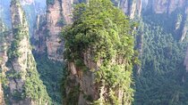 National Forest Park Avatar Mountain Day Tour