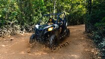Extreme Buggy Adventure with Ziplines & Cenote & Tequila Tasting