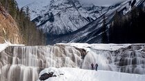 Discover Banff, Yoho, and Jasper 4 Day Tour