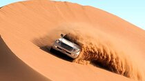 Desert Safari: Buggy Ride Camel Ride and Belly Dance Show
