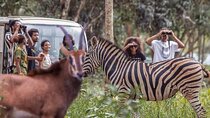 Tour 2: to Kwame Nkrumah and Safari Resort