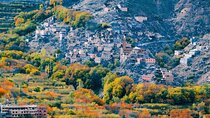 Marrakech: Atlas Mountains & Valleys Waterfall Hike & Lunch 