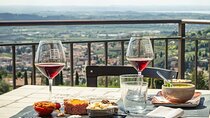 Valpolicella Natural Wines Tasting with Food Pairings