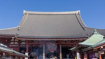 Customizable car tours in Tokyo