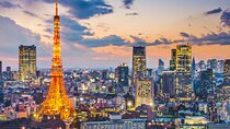 Tokyo Private Tour by Car/Van with English Speaking Driver 
