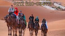 Marrakech Desert Tour 3 Days group tour √ private 