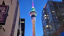 Auckland City Highlights Private Tour
