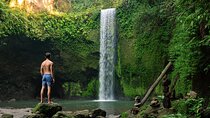 Best of Bali: Ubud All-inclusive Instagram highlights Tour