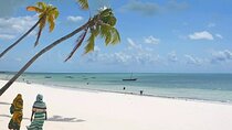 Nungwi Village & Turtle Swimming Tour with Transfer – Zanzibar