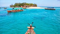 Nungwi Village with Sea Turtle Swimming Tour & Transfer –Zanzibar