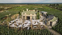 Winery Tour of Uco Valley