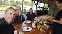 Fruit Tasting in Filandia 