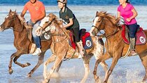 2 Hour Horseback Ride in Nabq Bay