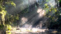 Private Hangzhou Car and Walking Tour