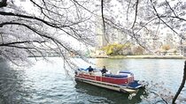 Higayoko River Night Cruise