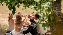 Cape Town: Private Vineyard Horseback Riding with Wine Picnic