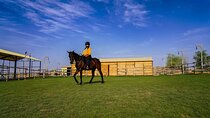 Dubai Al Marmoom Oasis Horse Riding Experience with Snack