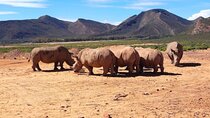 Cape Town Aquila Game Reserve Sunset Safari and long March to fr