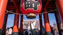 PERFECT 1 Day Tokyo Highlights Tour with a Private Car