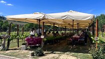 Florence: Siena and San Gimignano, Full Day Small Group Wine Tour