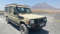 Day Trip Arusha National Park from Arusha