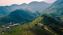 Luxury Prosecco Wine Tasting Full-Day Private Tour from Venice