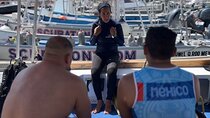 Scuba Diving in Cozumel or Playa del Carmen with Certificates 