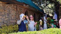  "Discover Addis Ababa: An Exclusive Private Tour Experience"
