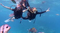 Hurghada Scuba Diving with Lunch & Transfers – All Levels Welcome